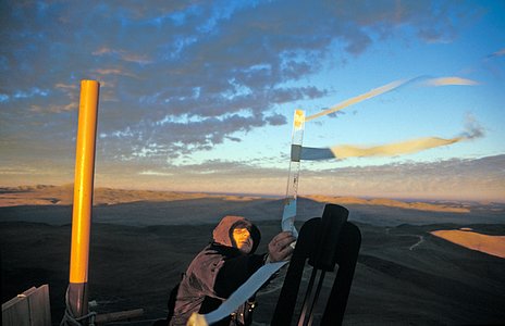 Wind site-testing on Cerro Paranal