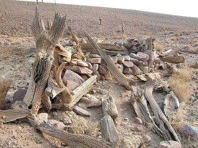 Archaeology in Atacama's Chilean desert