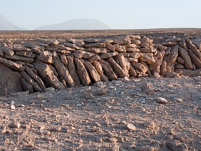 Archaeology in Atacama's Chilean desert