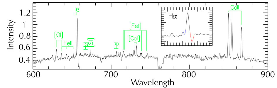 Optical Spectrum of the Bipolar Nebula