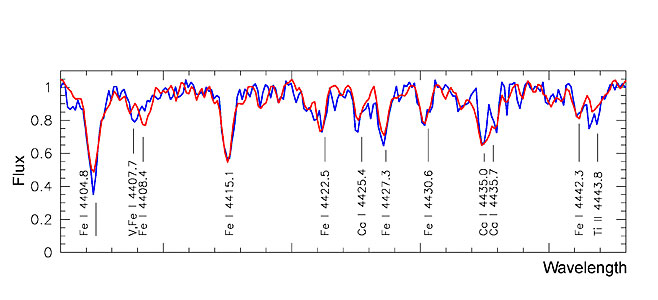 Average Spectra of the Blue and Red Population Stars