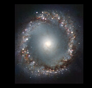 NGC 1097