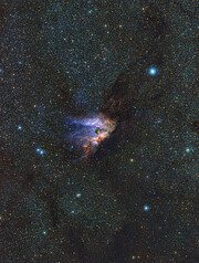 This image has a small wispy gas cloud at its centre. The cloud is orange and pink, its tendrils getting less opaque and more blue to the left. It is surrounded by thousands of tiny dotted blue, orange and yellow stars, very densely packed, giving the background a blue hue. There are darker patches all over the image where fewer stars are showing.