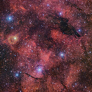 The image shows a dark nebula at the centre of the picture, against a background of reddish fumes. The shape of the dark nebulous cloud is that of a wolf’s head, looking to the right. Surrounding the dark nebula are bright white stars of different sizes, tiny dots and bigger gassy spheres