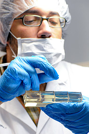 The optics of MUSE | ESO