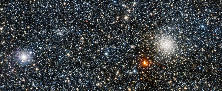 VISTA view of the newly discovered globular cluster VVV CL001 and its brighter companion