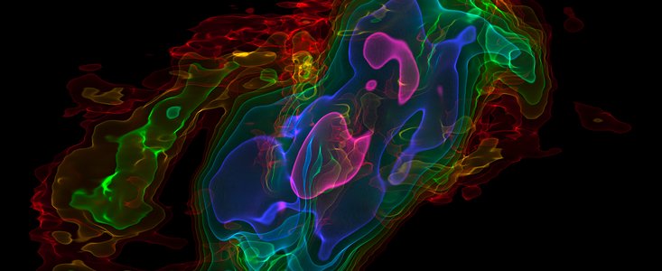 Three-dimensional view of ALMA observations of the outflows from NGC 253