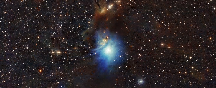 Young star lights up reflection nebula IC 2631