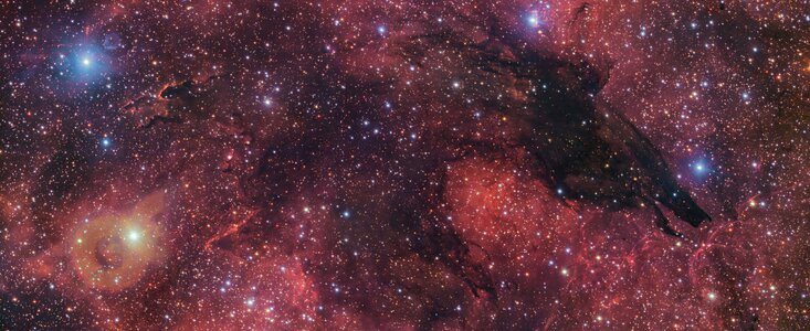 The image shows a dark nebula at the centre of the picture, against a background of reddish fumes. The shape of the dark nebulous cloud is that of a wolf’s head, looking to the right. Surrounding the dark nebula are bright white stars of different sizes, tiny dots and bigger gassy spheres