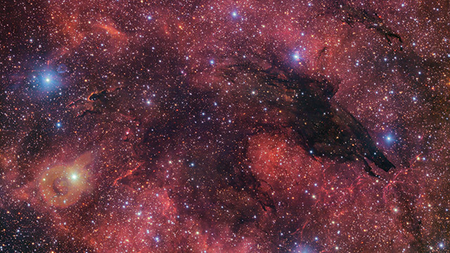 The Dark Wolf Nebula