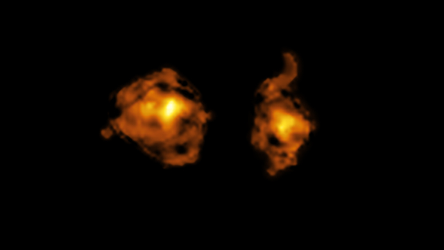 ALMA image of the ‘cosmic joust’