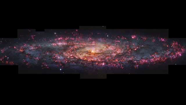 MUSE view of the Sculptor Galaxy