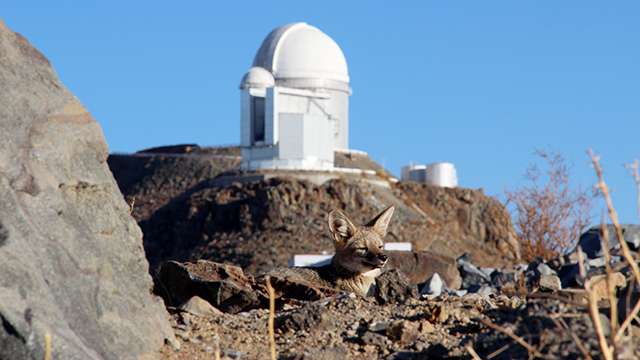 Two top hunters on a break