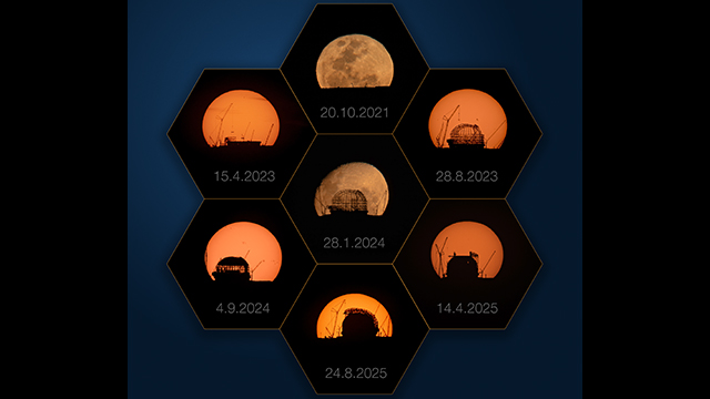 A kaleidoscopic view of the ELT