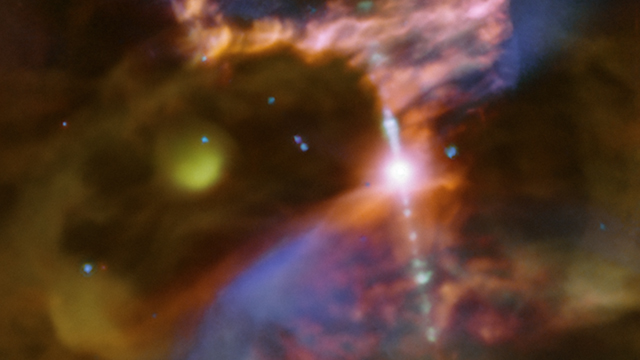 Ung eller gammal? — Här finns båda