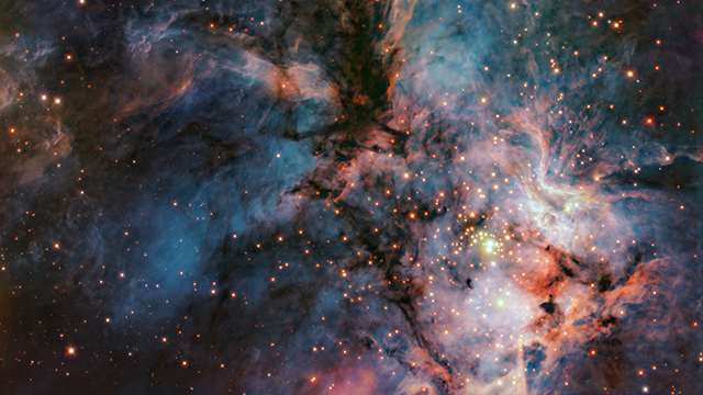 A cosmic hawk and its baby stars