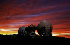 ALMA Prototype-Antennas at the ALMA Test Facility*
