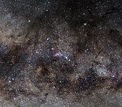 NGC 6193 and NGC 6231: Open Clusters of Stars