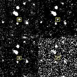 Brightness Decline of Nova in NGC 1316