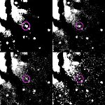 Brightness Decline of Nova in NGC 1316