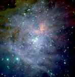 The Orion Nebula*