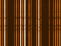 "First light" stellar spectra from Giraffe (detail)
