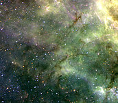 Filaments in the Tarantula Nebula