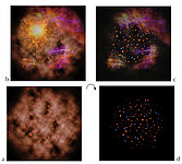 The Supernova Scenario