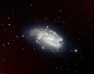 Supernova 2005dh and Spiral Galaxy NGC 1559