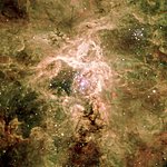 Cosmic Spider: The Tarantula Nebula