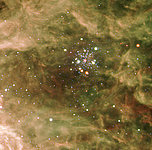 The Stellar Cluster Hodge 301