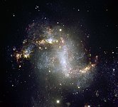 The Topsy-Turvy Galaxy NGC 1313*