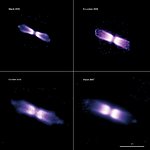 The expanding shell around V445 Puppis