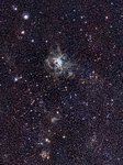 VISTA Magellanic Cloud Survey view of the Tarantula Nebula*