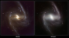 Comparison of visible-light and infrared images of the galaxy NGC 1365