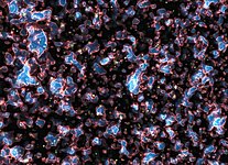 Galaxies during the era of reionisation in the early Universe (simulation)