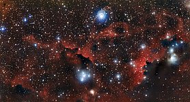 The glowing cloud Sharpless 2-296, part of the Seagull Nebula