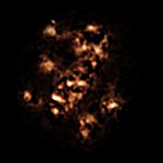 APEX view of the region around the Spiderweb Galaxy