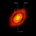 ALMA image of the young star HL Tauri (annotated)