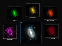 Galaxy images from the GAMA survey