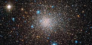 The unusual cluster Terzan 5