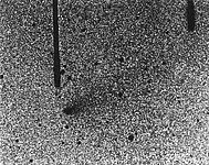 Image of comet "P/West-Hartley (1989k)"