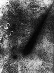 An unusual view of Comet Austin