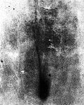 Comet Levy on 12 September 1990
