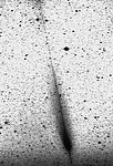 The Unusual Tails of Comet Hale-Bopp