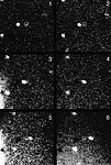VLT Quick Views of Spacecraft Targets