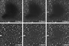 The Dark Cloud B68 at Different Wavelengths