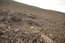 Seagull egg near Paranal