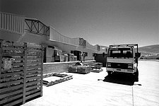 The Bodega