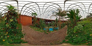 Garden Panorama